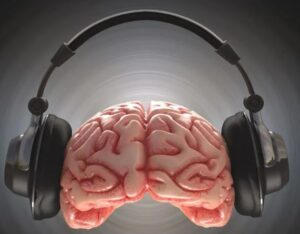 cerebros-sonidos